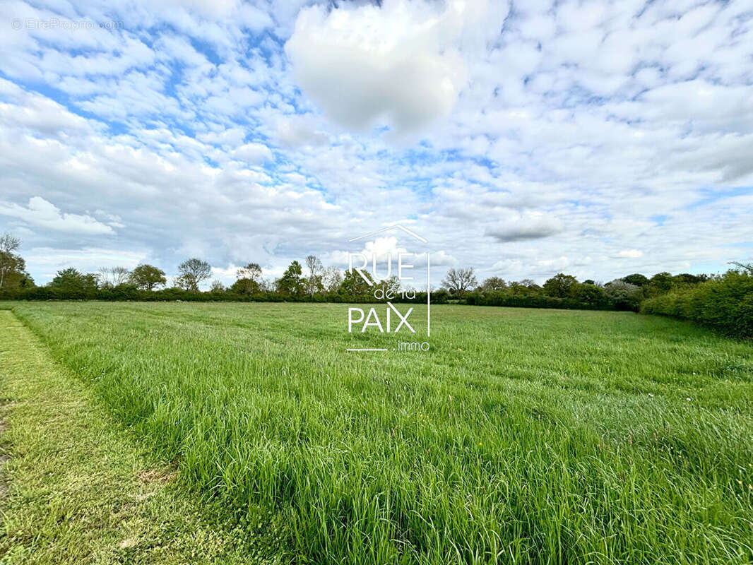 Maison à CHATILLON-SUR-THOUET