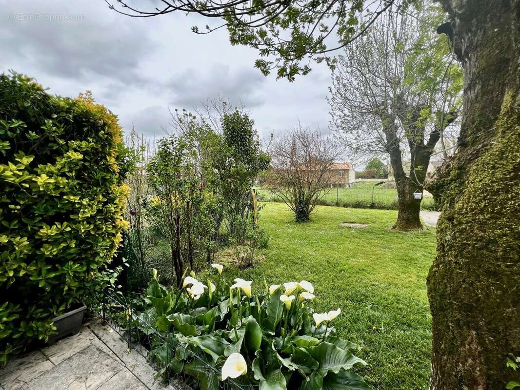 Maison à SAINT-ANDRE-DE-CUBZAC