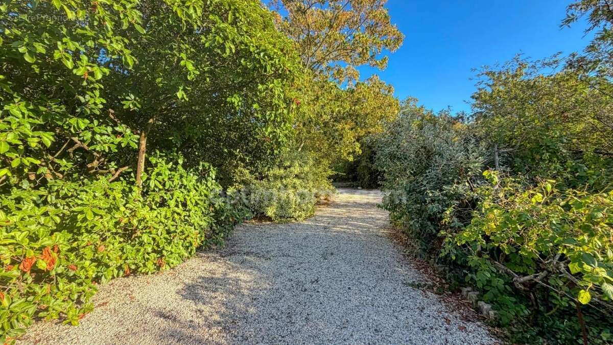 Propriété familiale 5 pièces au cœur d'un véritable parc de 2 158 m² - LA ROCHELLE (17) - photo 6