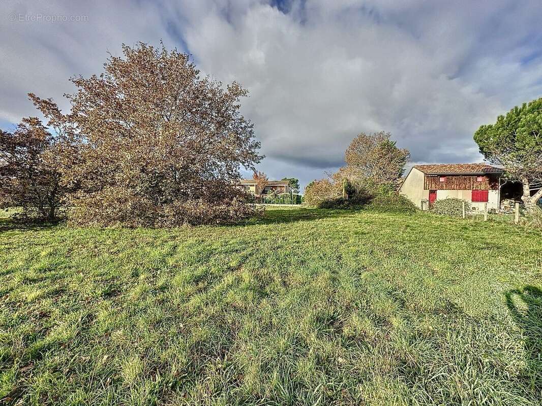 Terrain à BELIN-BELIET