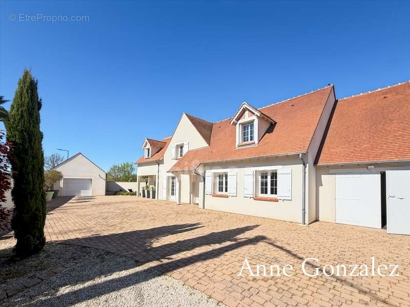 OLIVET SUD, à vendre superbe maison familiale de plus de 200 m2 avec maison d'amis et piscine chauffée dans un environnent calme - photo 2