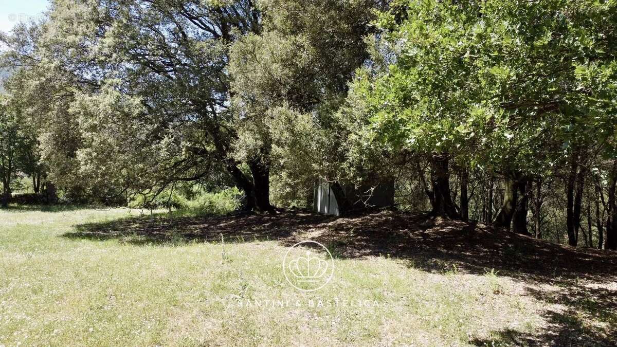 Terrain à ZICAVO