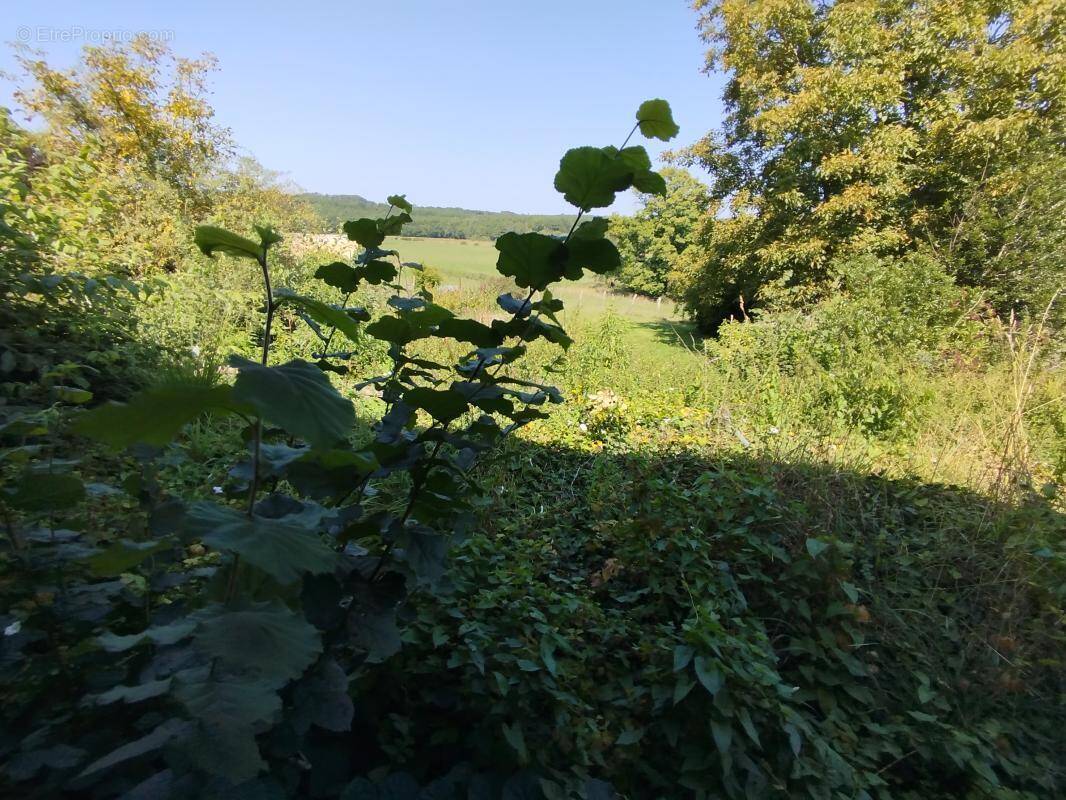 Maison à GEVIGNEY-ET-MERCEY