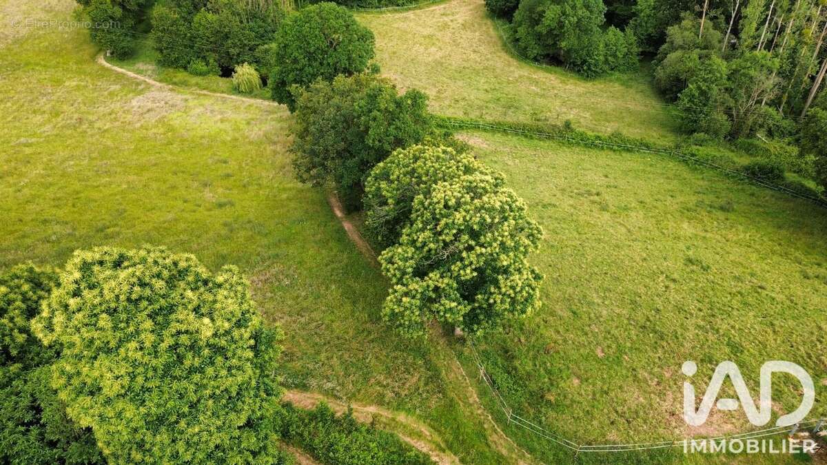Terrain 26921 m² à Guitte  - photo 2