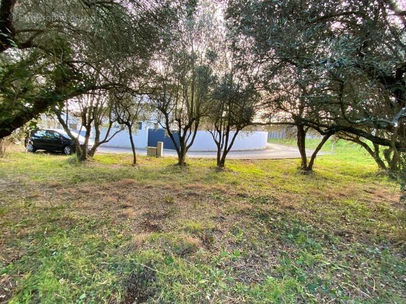 Terrain à vendre - viabilisé - 401 m2 - Castries (34) - photo 2