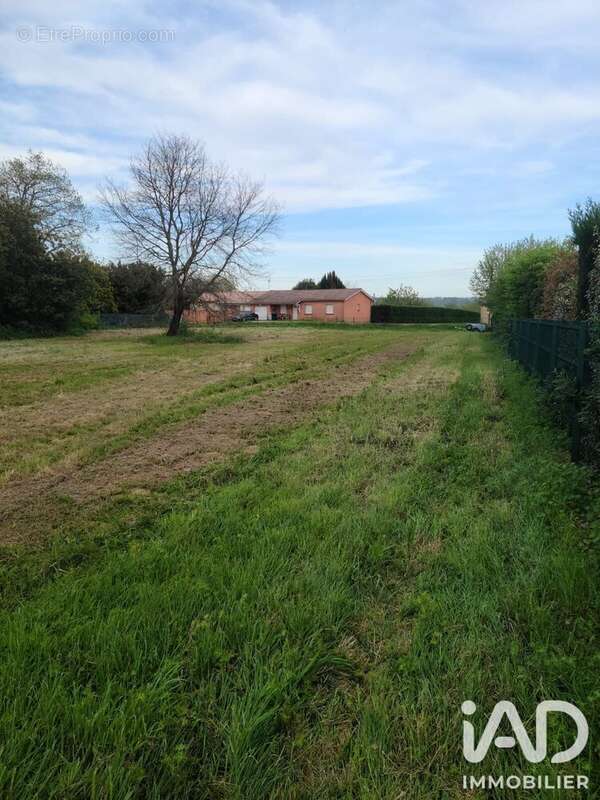 Terrain 2000 m² à Bressols  - photo 3