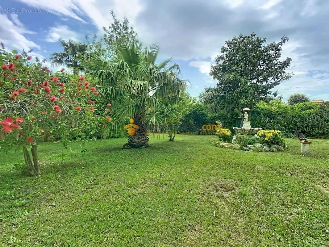 Vente Maison Saint-cyprien(66750) 399 000ï¿œ - photo 2