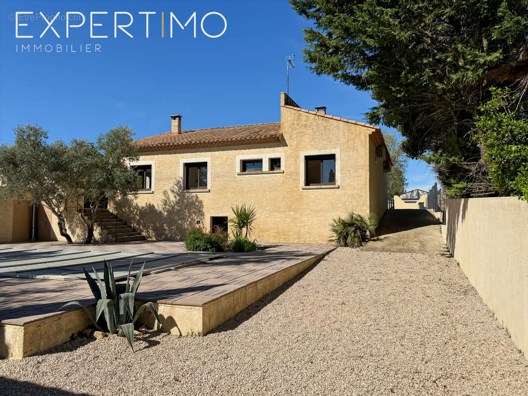 Maison à MONTPELLIER