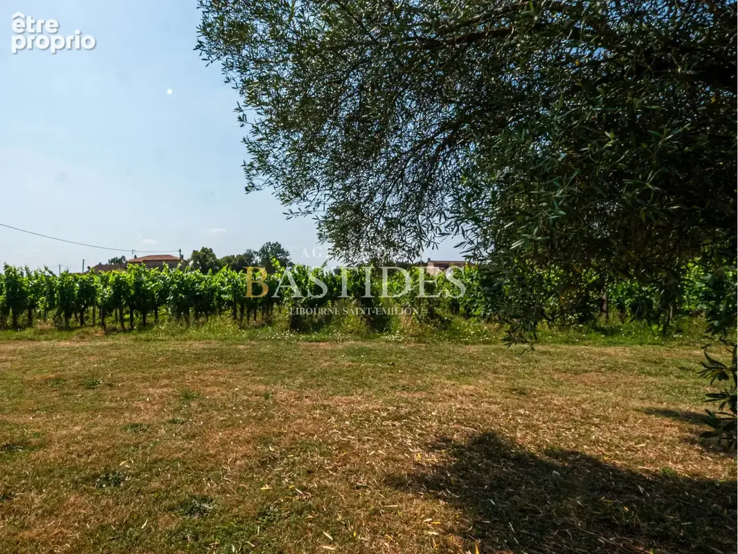 Propriété familiale et son petit vignoble d'appelation - photo 5