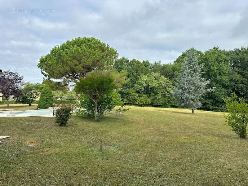Maison de plain avec gite, piscine et grand jardin situées au calme. - photo 8