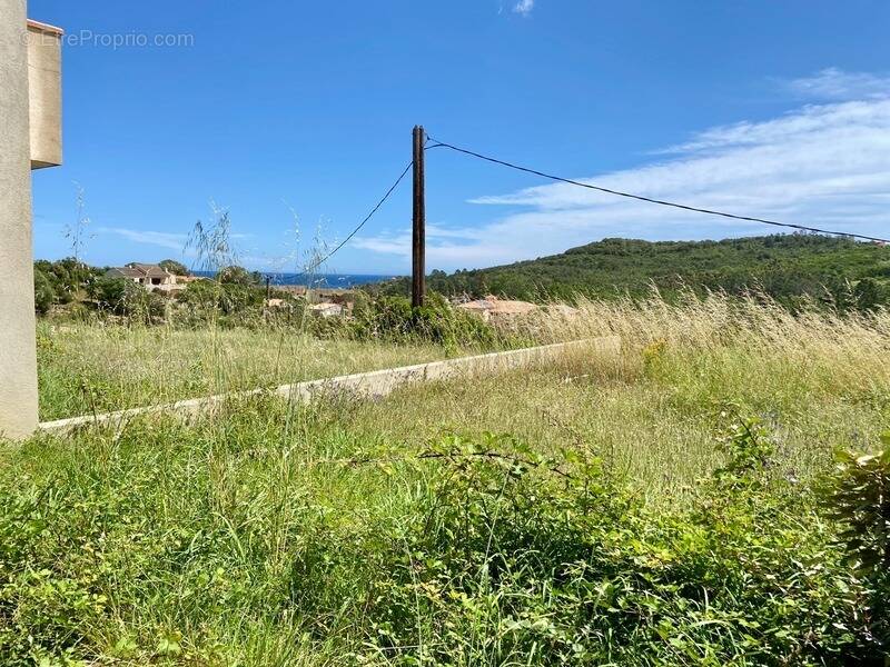 Appartement à CONCA