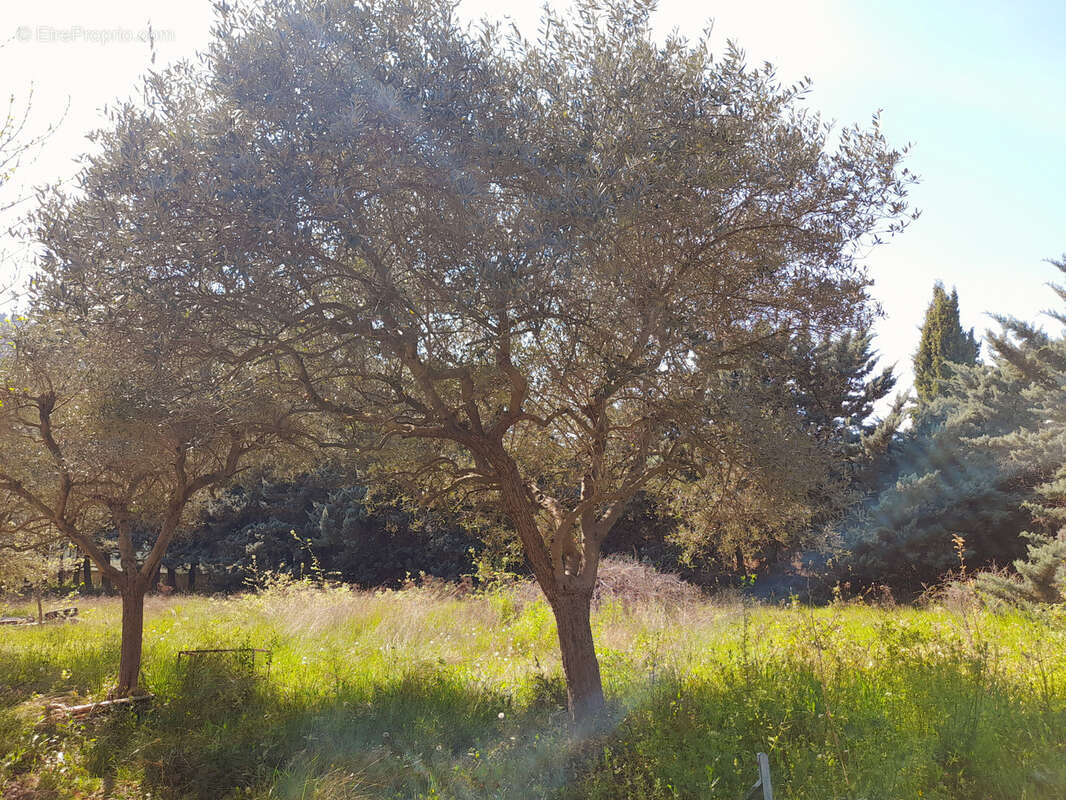 Terrain à ROBION