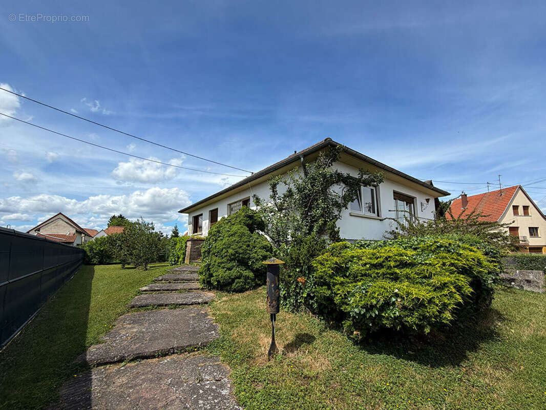 Maison à ENTZHEIM