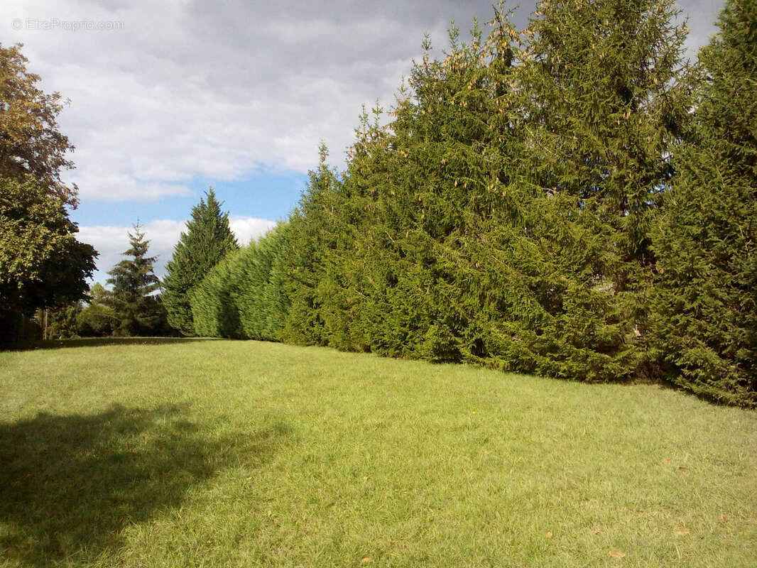 Terrain à LE VAL-DE-GUEBLANGE