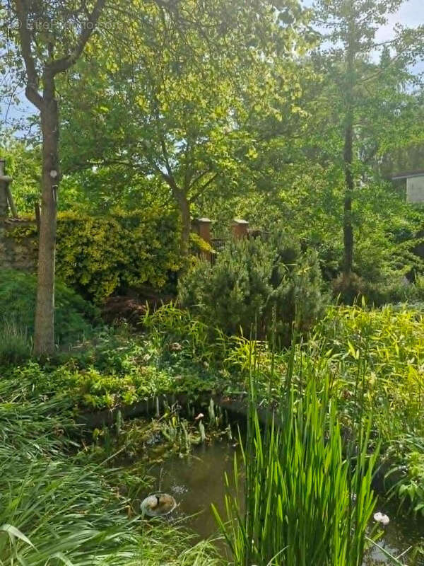Maison à ALBERT