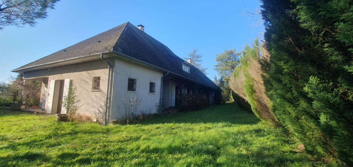SAINT EULALIE - Belle Maison de 350m2 sur 3000m2 de terrain - photo 3