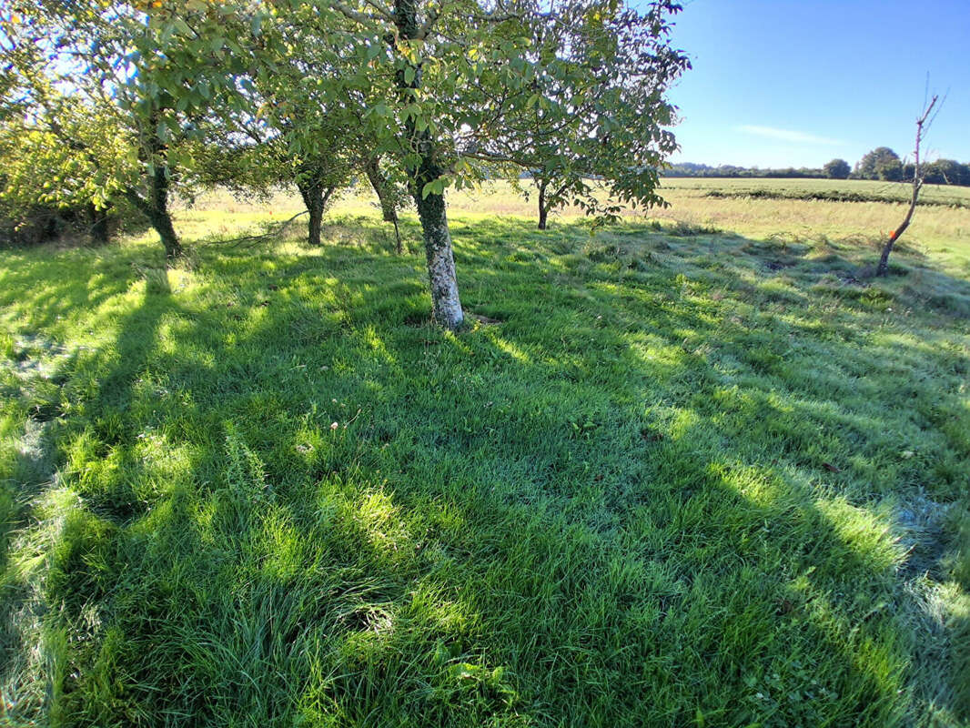 Terrain à LA GRIPPERIE-SAINT-SYMPHORIEN
