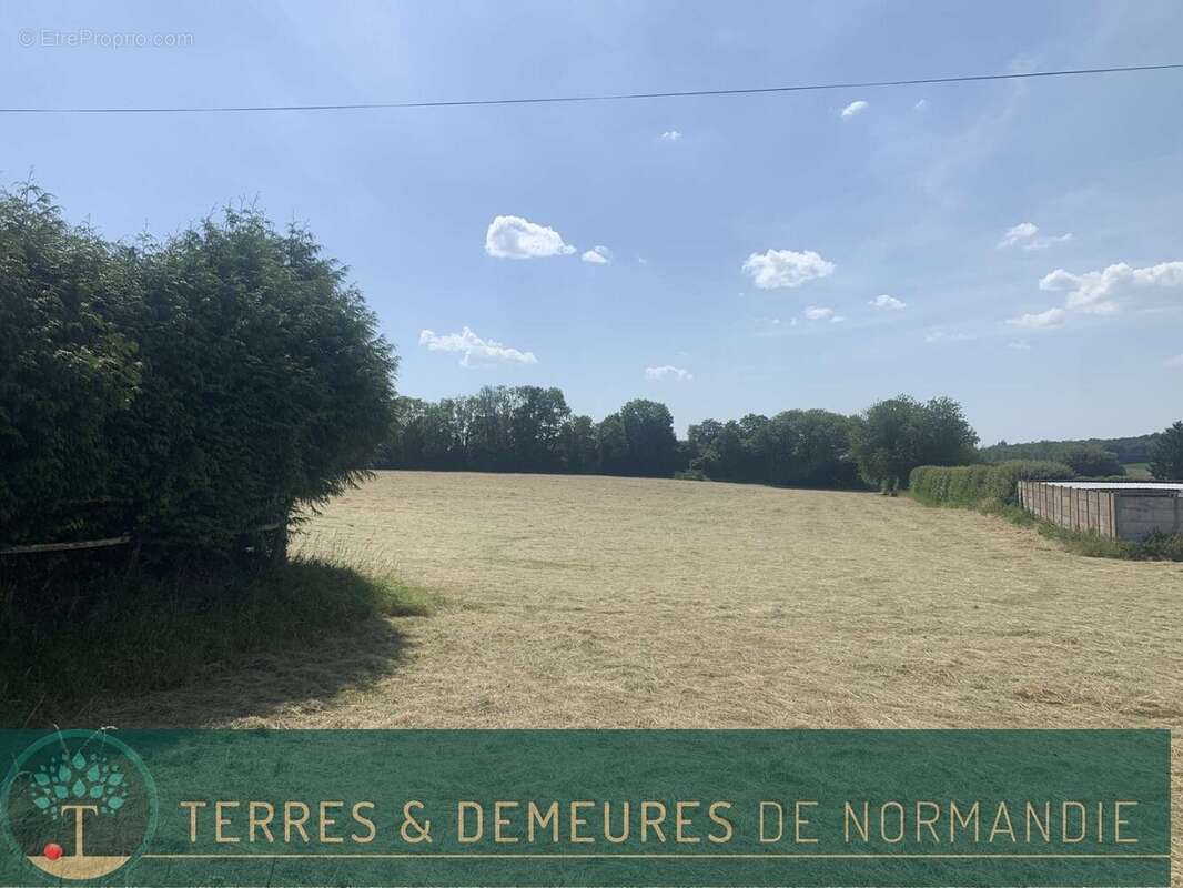 Dans le CALVADOS, région FALAISE, propriété agricole de 34 ha en herbage d'un seul tenant - photo 18
