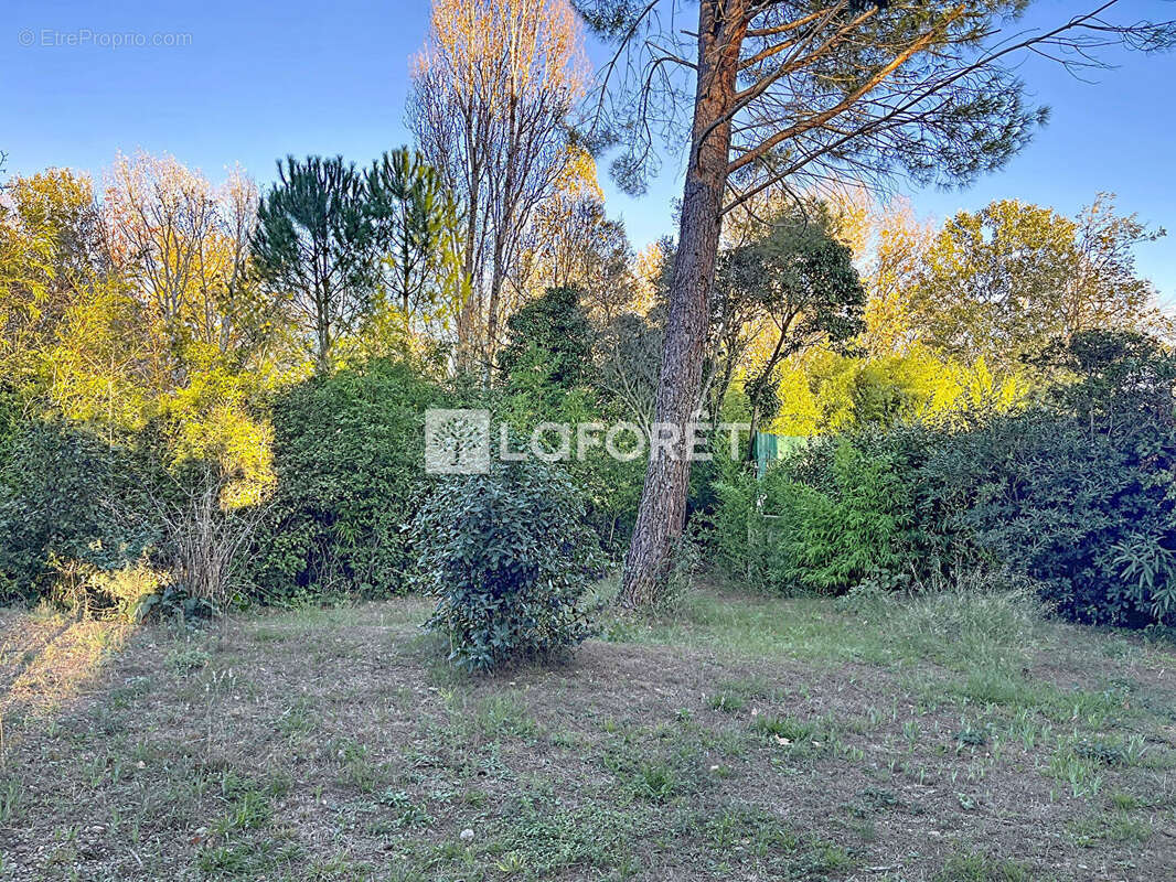 Maison à MONTPELLIER