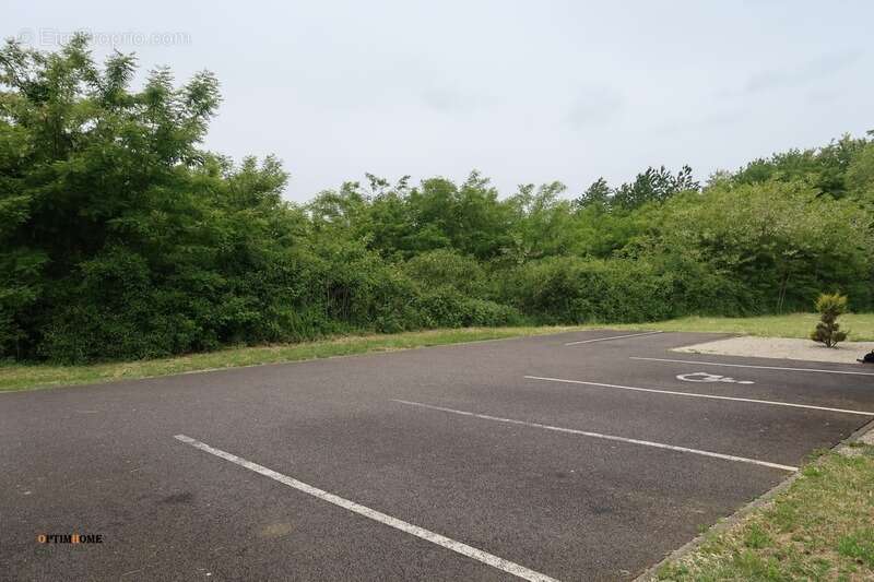 Commerce à TUCQUEGNIEUX