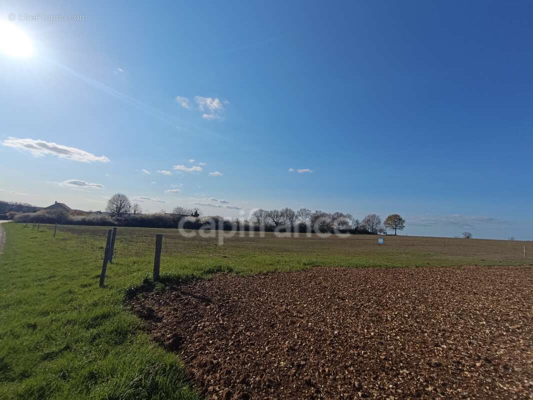 Terrain à vendre de 674,00 m² SOUCY (89) - photo 3