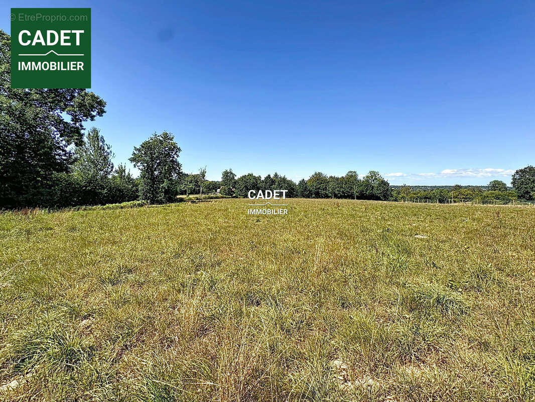 Terrain 11574 m² à Le Tanu  - photo 6