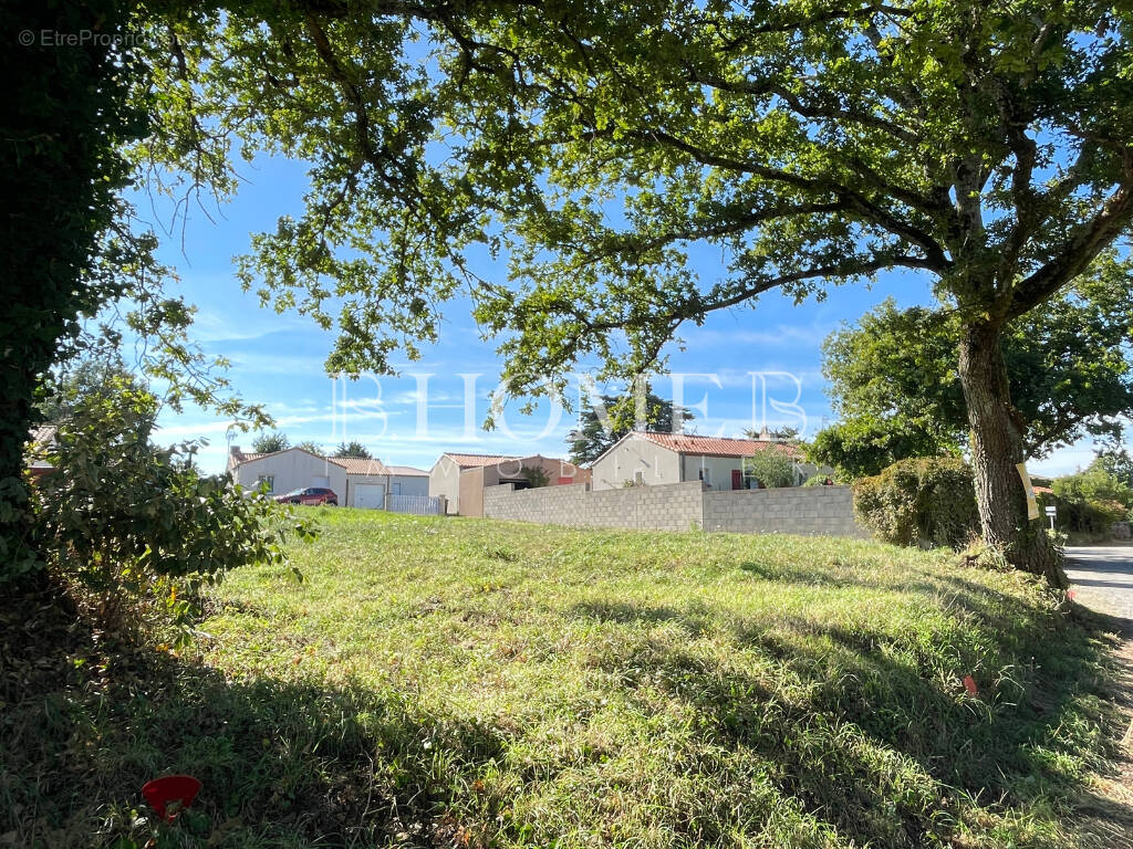 Terrain à LES MOUTIERS-EN-RETZ
