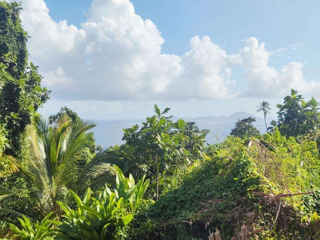 Maison à CAPESTERRE-BELLE-EAU