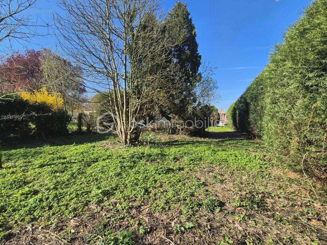 EXCLUSIVITÉ à vendre Maison 111 m² Terrain clos de 1 629 m², deux Dépendances et Garage – Gros potentiel à personnaliser - photo 17