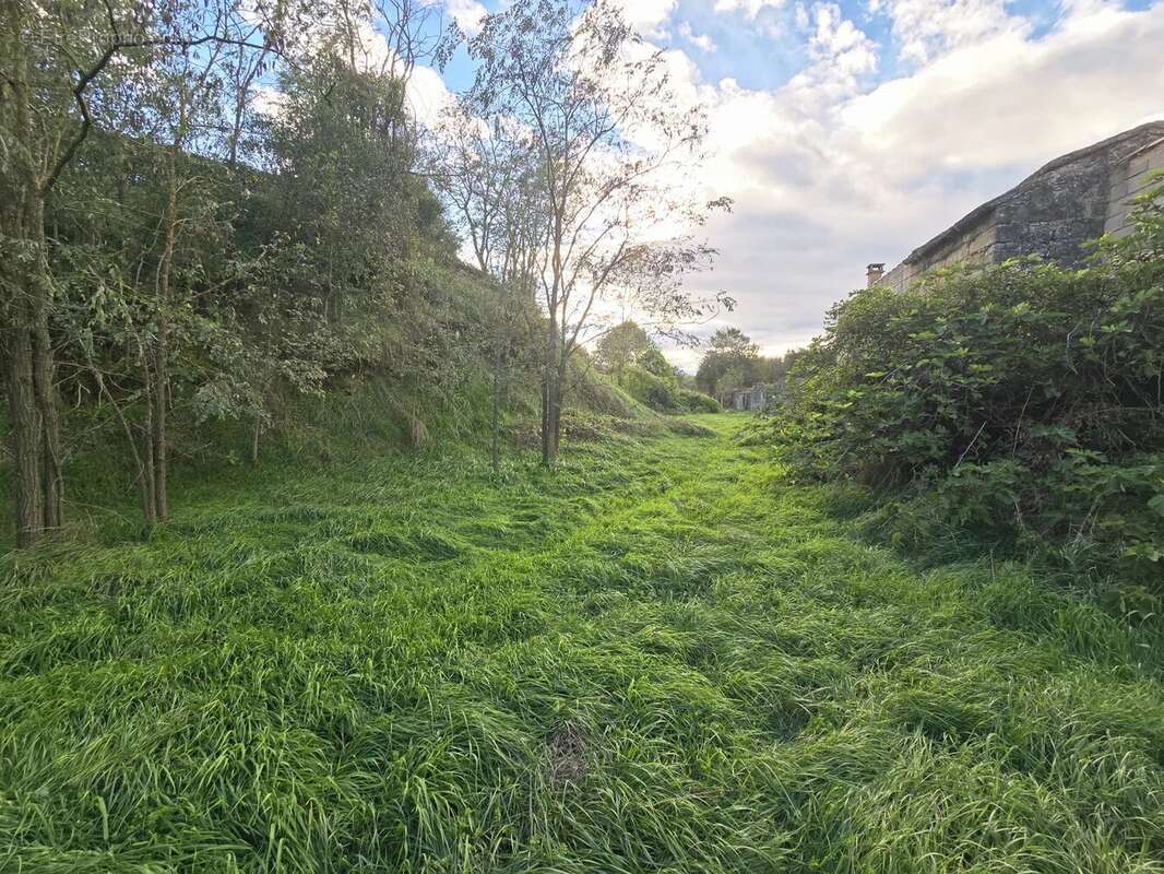 Terrain à SAINT-QUENTIN-LA-POTERIE