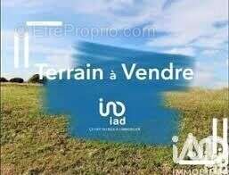 Photo 2 - Terrain à PESSAC