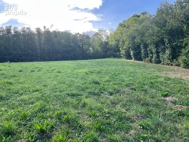 Photo Terrain à Saint-Vincent-Le-Paluel au prix de 36 800€
