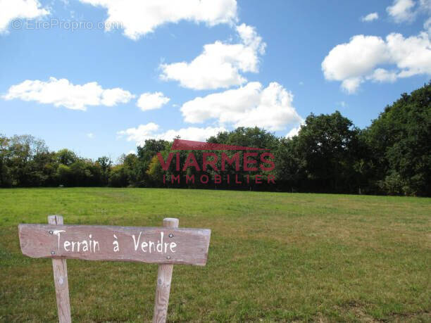 Terrain à VIARMES