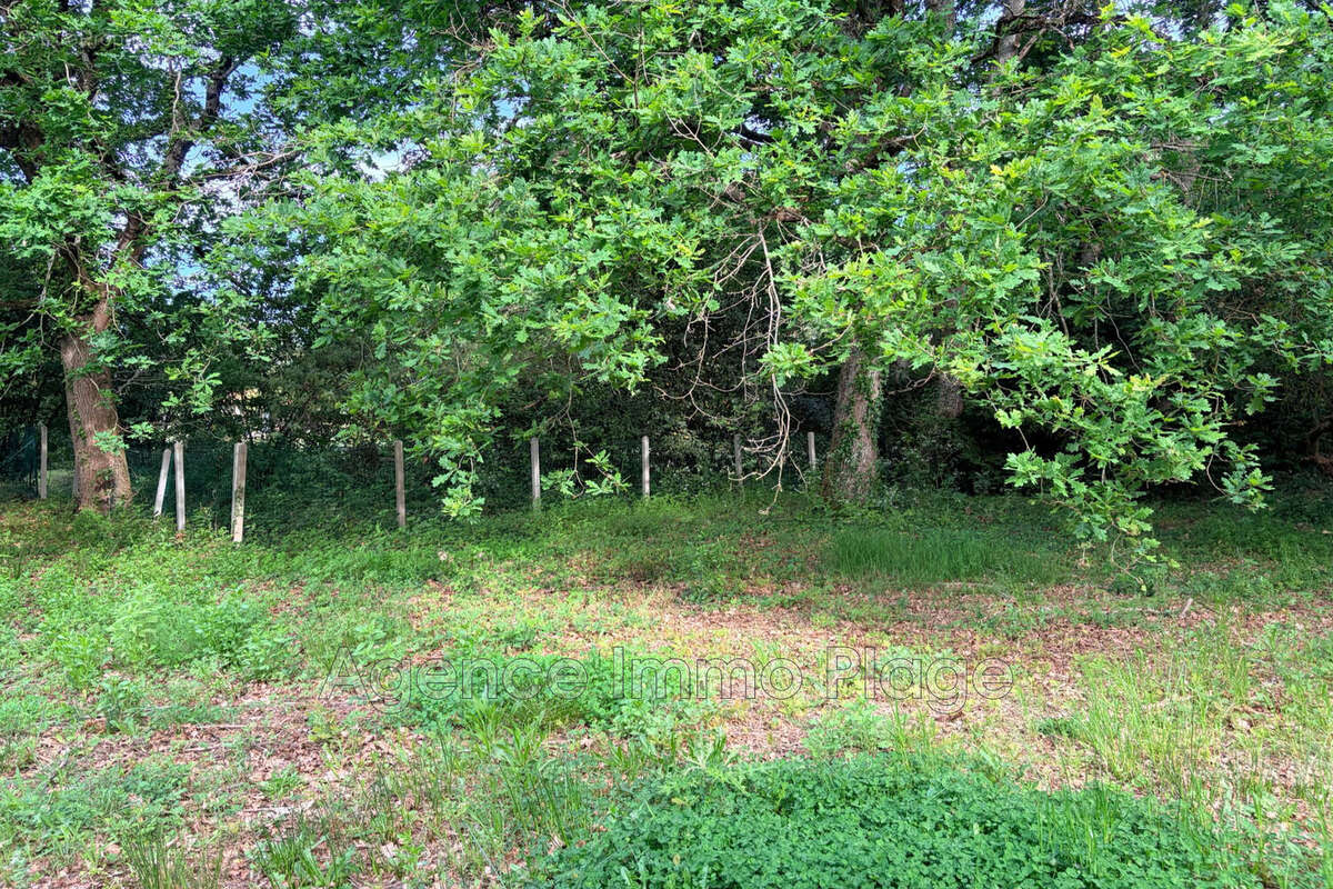 Terrain à SAINT-VIVIEN-DE-MEDOC