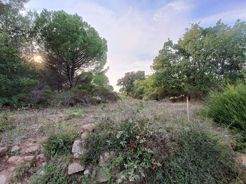 Terrain à PUGET-SUR-ARGENS
