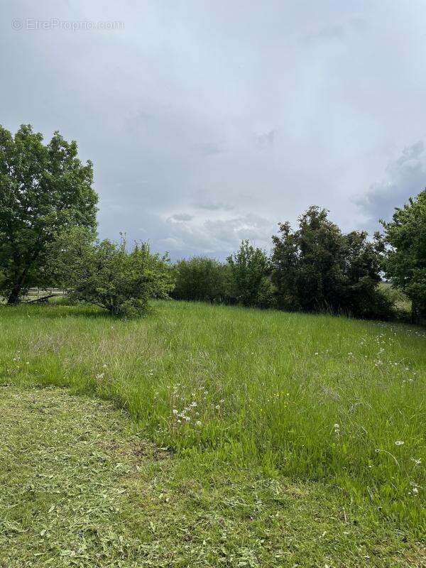 Terrain à SAINT-MARTIN-DU-BOIS