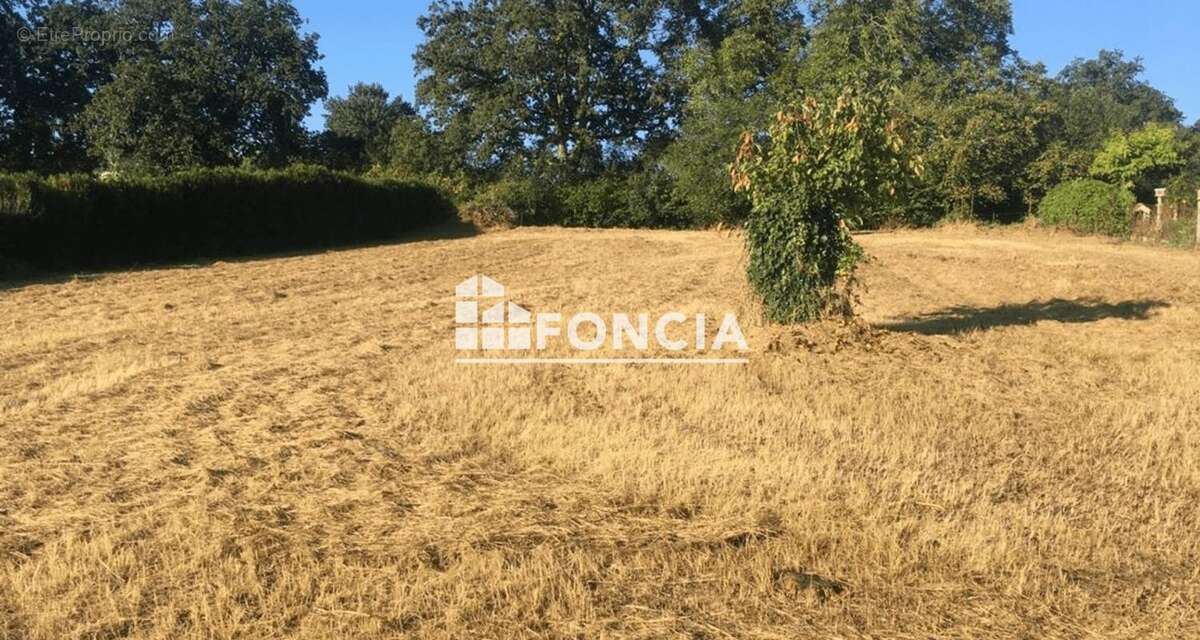 Terrain à VILLAINES-LES-ROCHERS