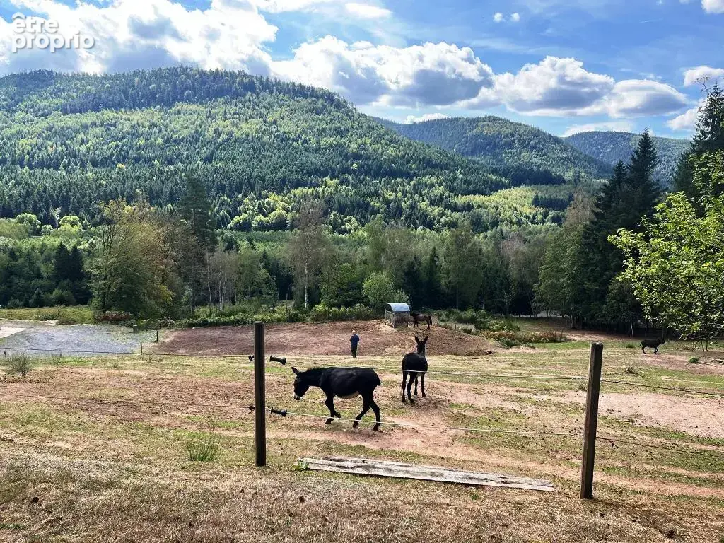 Magnifique Propriété isolée entre Lac de Pierre Percée et le Donon - photo 3