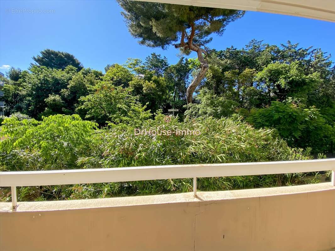 Appartement 48 m² à Marseille-8e  - photo 25