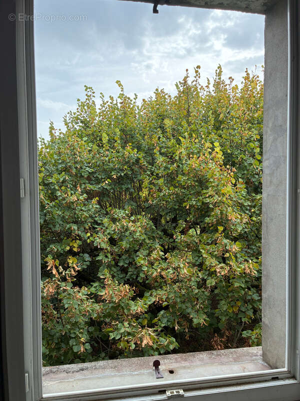 Maison à CASTELNAU-MONTRATIER