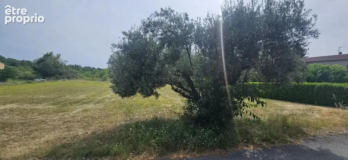 Terrain 1232 m² à Durfort-Et-Saint-Martin-De-Sossenac  - photo 2