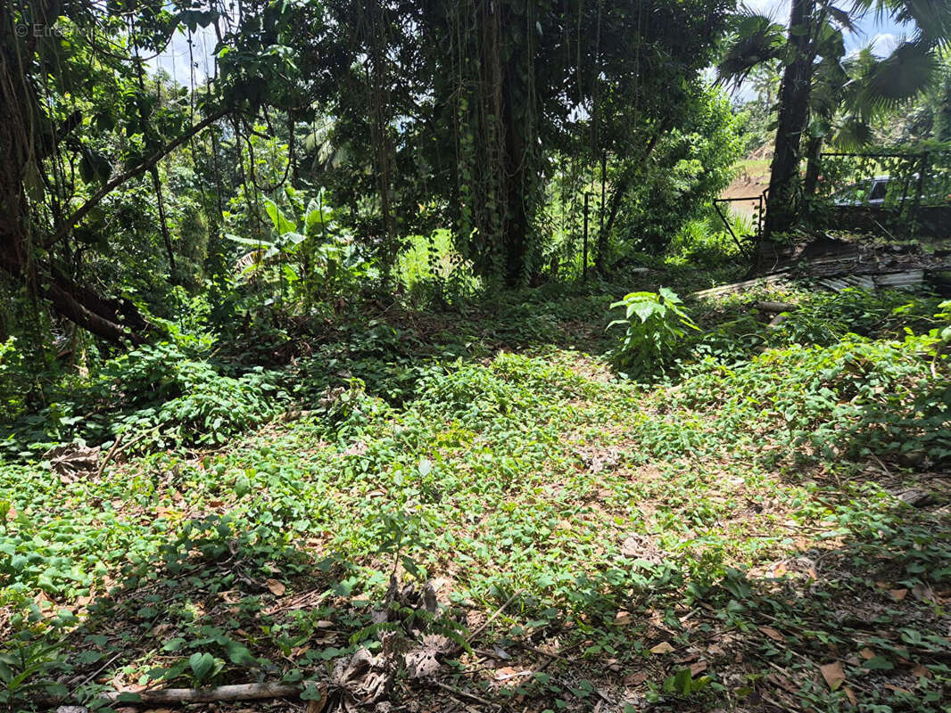 Terrain à LE LAMENTIN