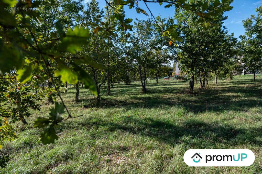 Terrain à LALBENQUE