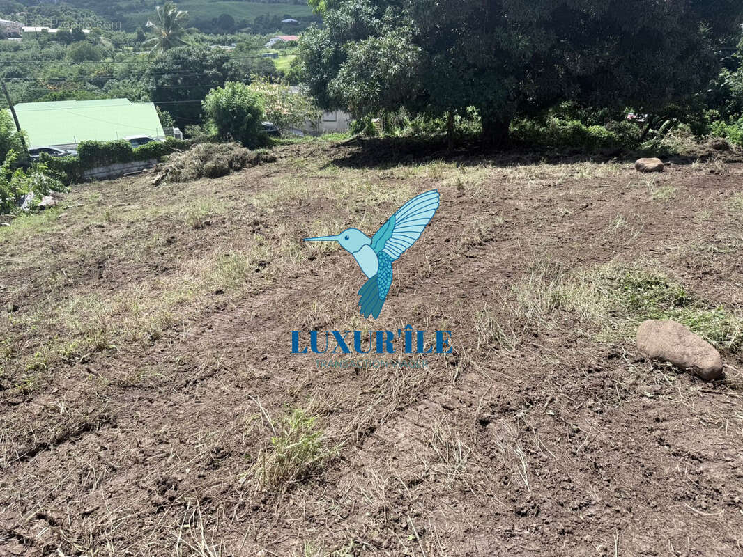 Terrain à LE FRANCOIS