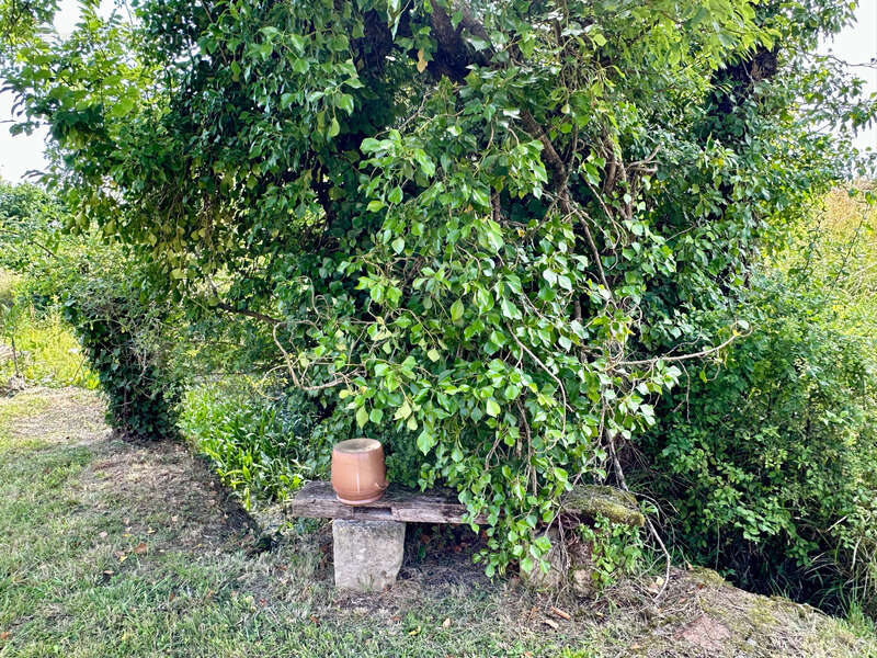 Maison à CASTELNAVET