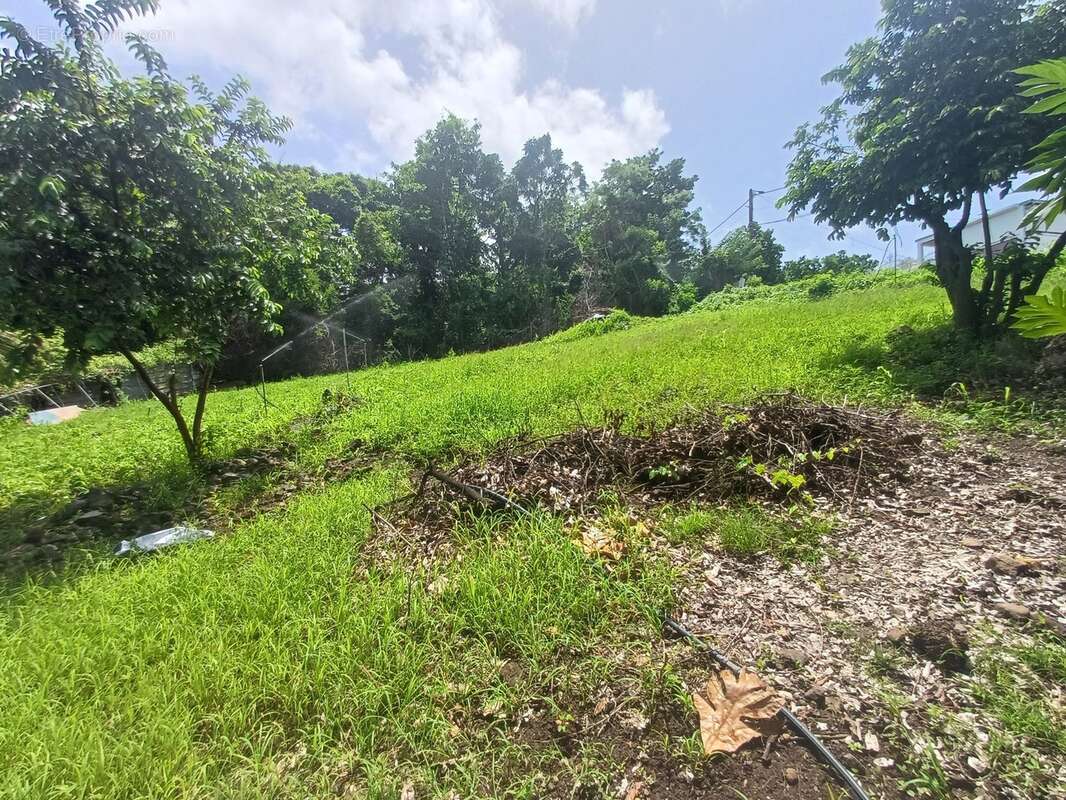 Terrain à vendre de 1 056,00 m² BAILLIF (971) - photo 7