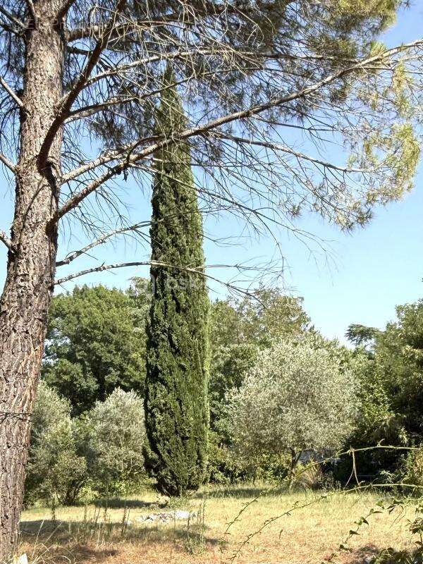 Maison à LA ROQUE-SUR-CEZE