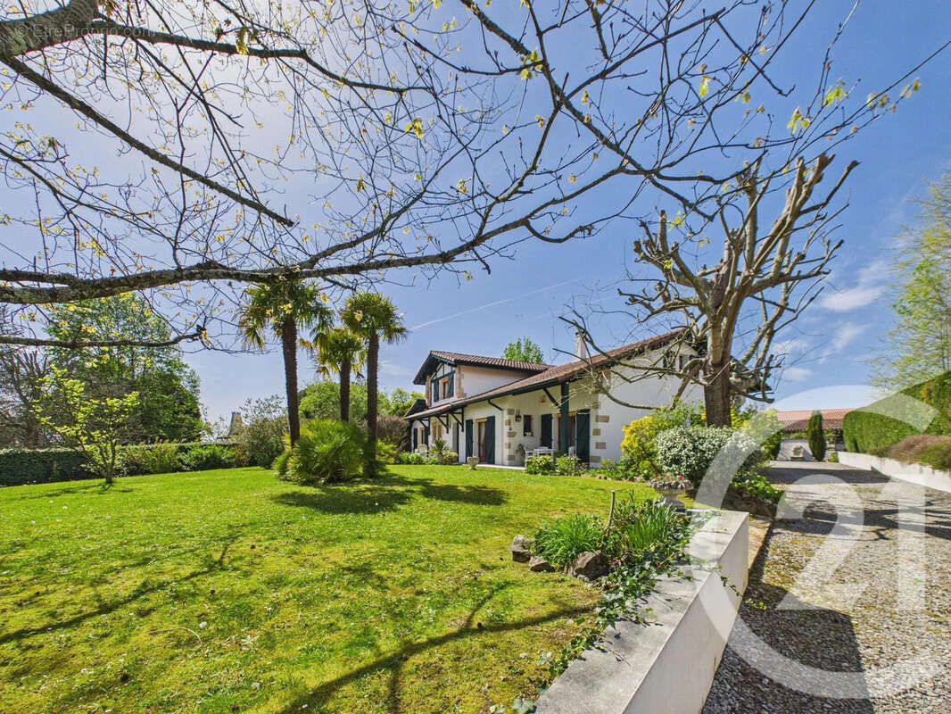 Maison à VILLEFRANQUE