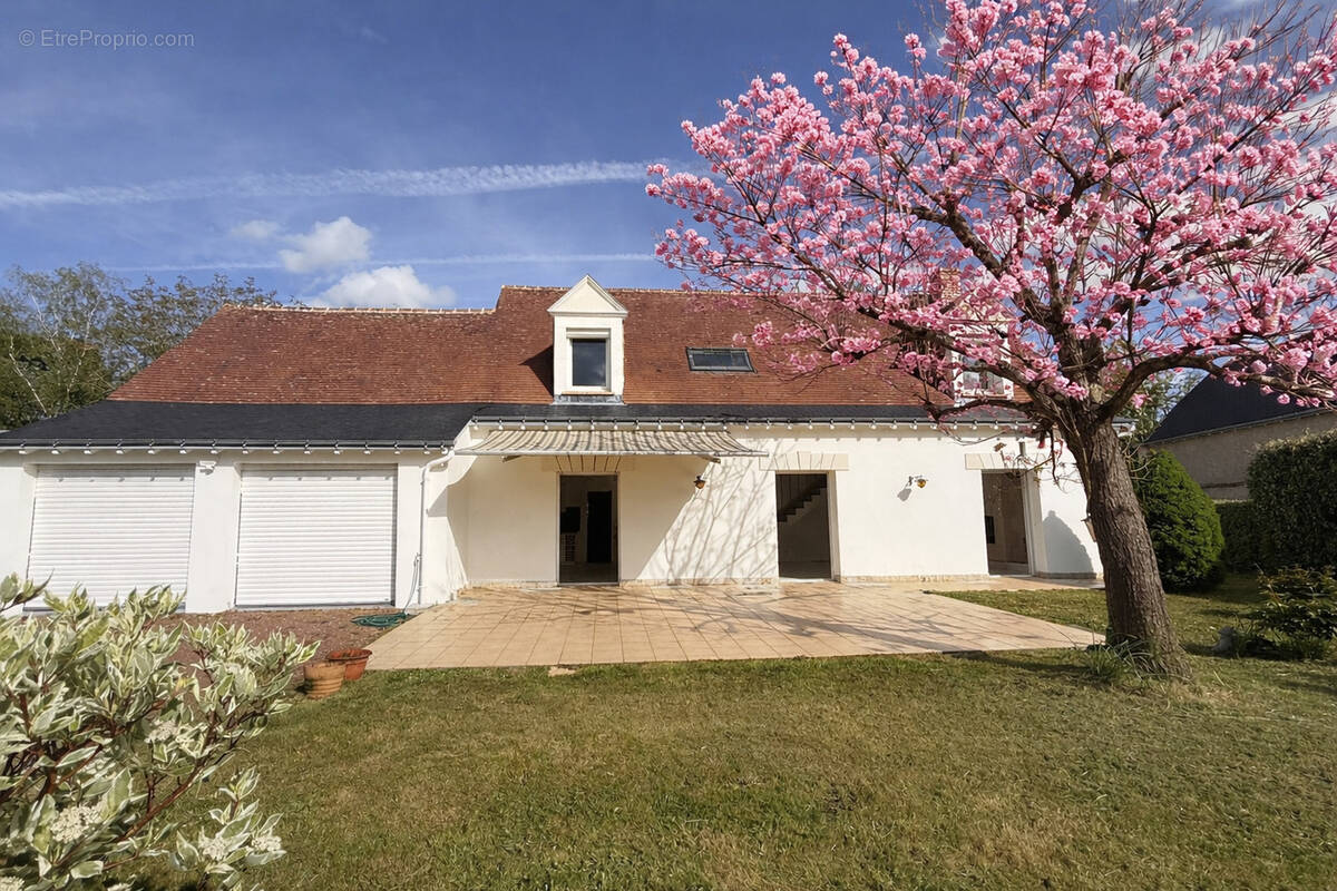 Maison à FONDETTES