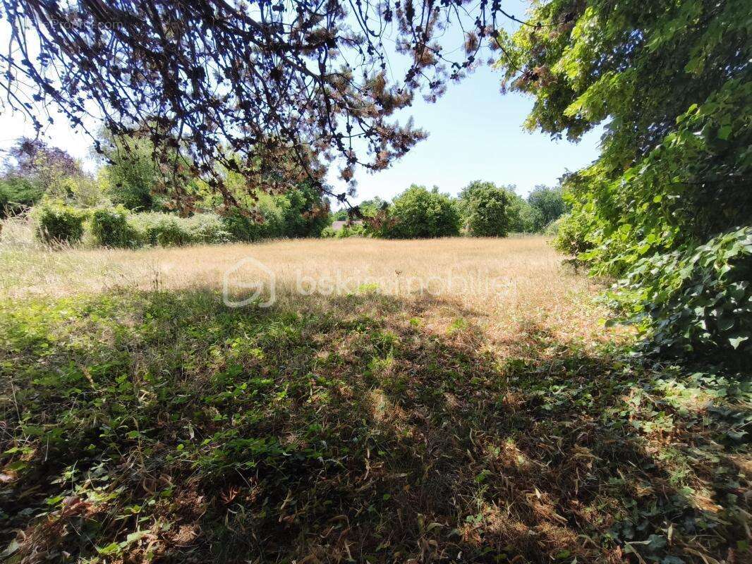 Terrain 4330 m² à Saint-Gondon  - photo 4